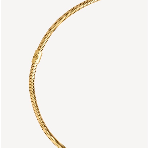 🦋 Louis Vuitton snake chain pendant - Picture 3 of 6